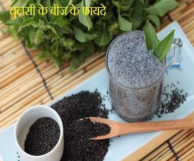 https://www.jagranimages.com/images/newimg/04052022/04_05_2022-tulsi_seeds_22683106_134658189.jpg