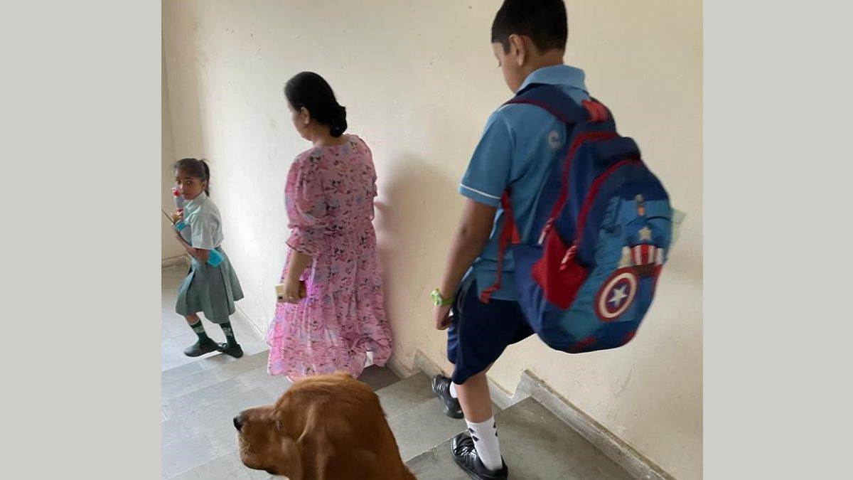 ncr five people stuck in elevator for 20 minutes in logix blossom county in noida