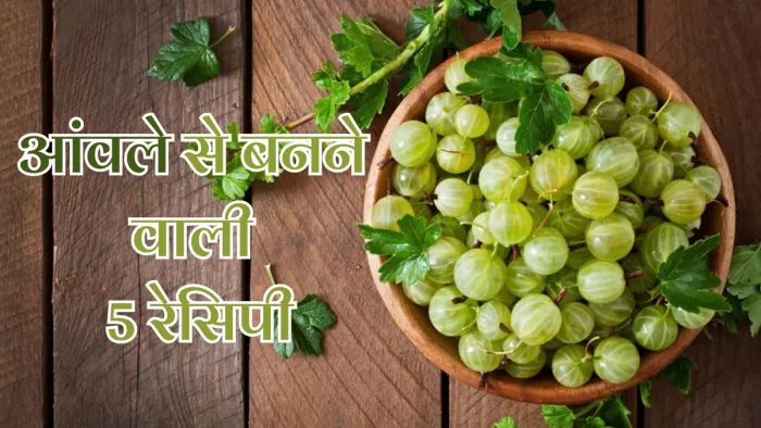 गर्मियों में इन 5 तरीकों से आंवला को बनाए डाइट का हिस्सा