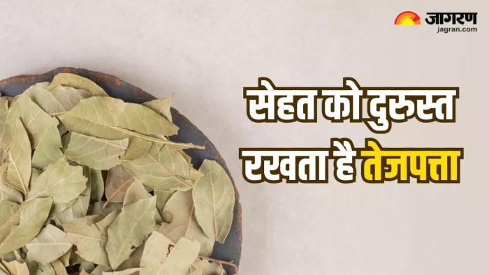 तेजपत्ते का काढ़ा पीने से मिलते हैं ऐसे फायदे, जानकर आप भी रह जाएंगे दंग