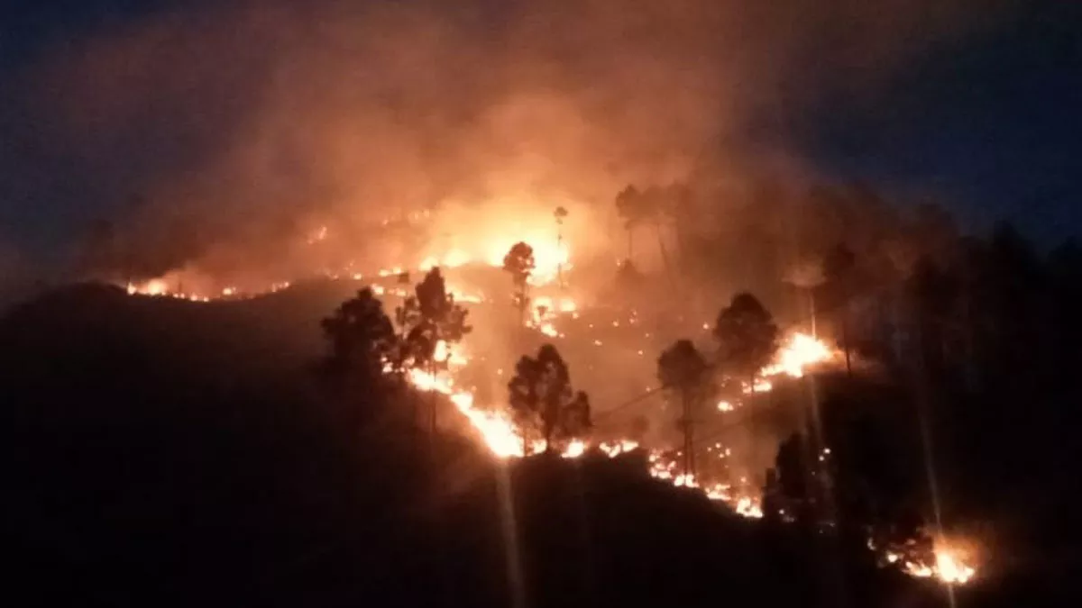 Uttarakhand Forest Fire: बागेश्वर के जंगलों की आग देवाल सीमा में पहुंची, वन कर्मियों के छूट रहे पसीने; हर ओर धुआं ही धुआं