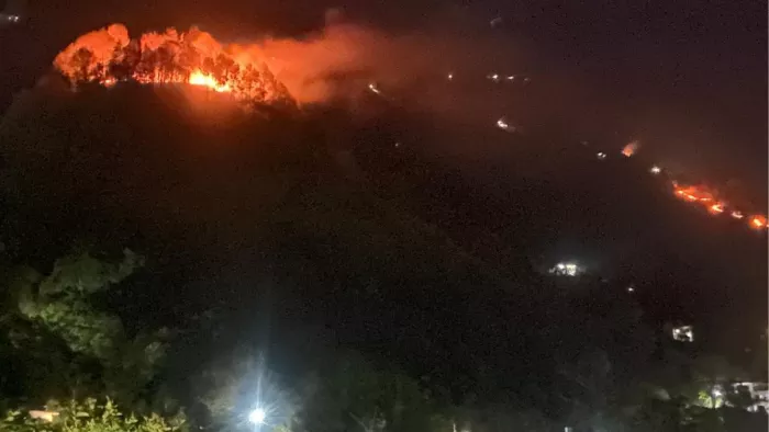रातभर कर्कोटक के जंगल में धधकती रही आग