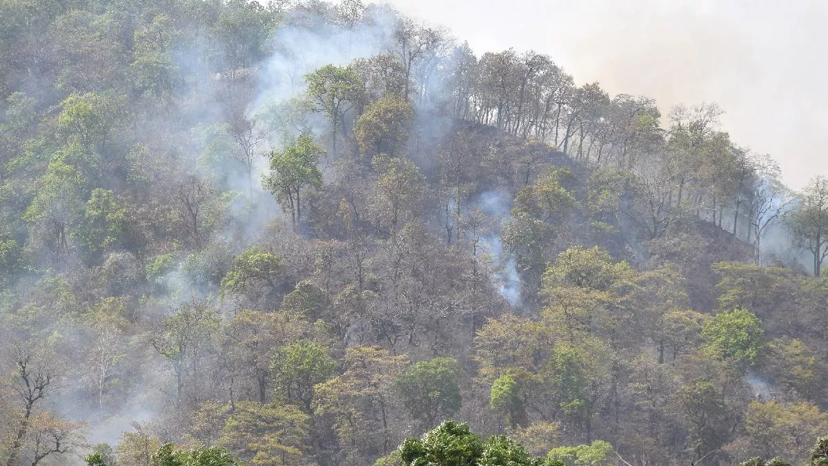 पहाड़ों पर बढ़ती जा रही जंगलों में आग की घटनाएं, तैनात तीन हजार फायर वॉचर भी नाकाफी; अब इस नई रणनीति पर होगा काम