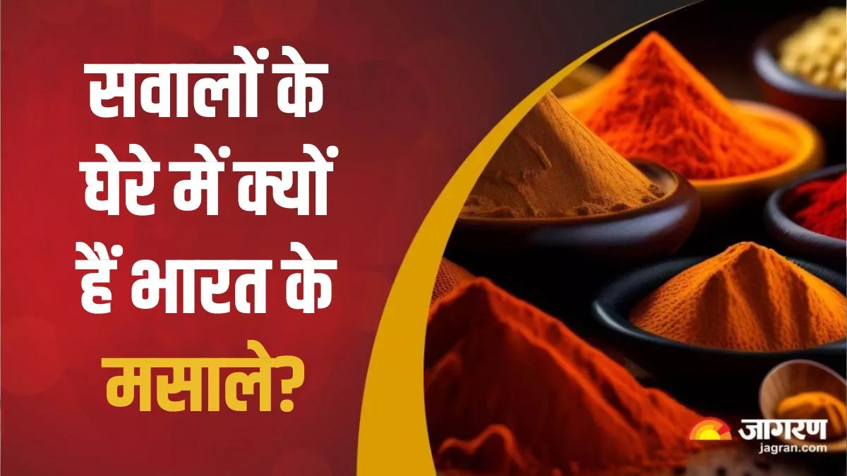 Spices Export from India: कभी भारतीय मसालों के लिए तरसती थी दुनिया, अब क्यों लग रहे प्रतिबंध?