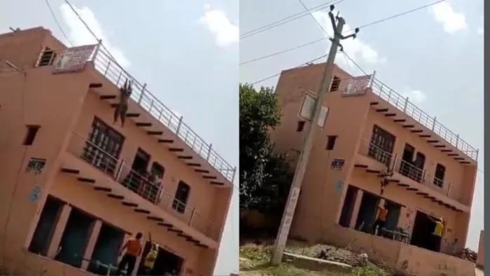 बलदेव के गांव मगना में विवाहिता को दो मंजिला छत से नीचे फेंका। वीडियो से ली तस्वीर।