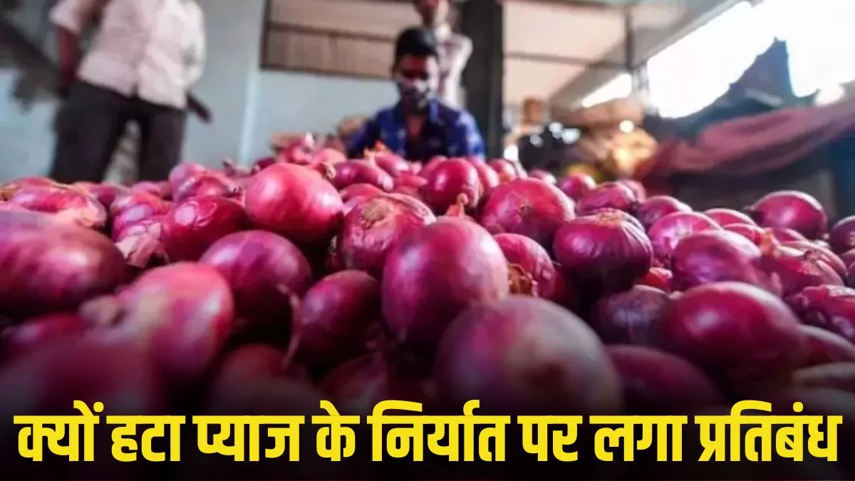 Onion Export: प्याज निर्यात पर प्रतिबंध हटा; किसानों के लिए फायदे की बात, पर घरेलू बाजार में कीमतों पर क्या होगा असर?