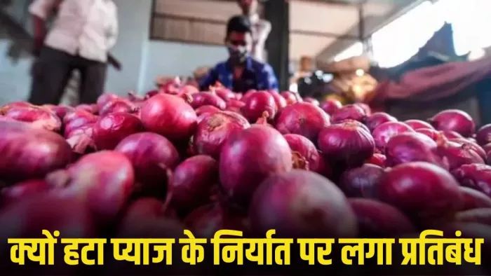भारत में प्याज की औसतन मांग 17 लाख टन प्रति महीने है।