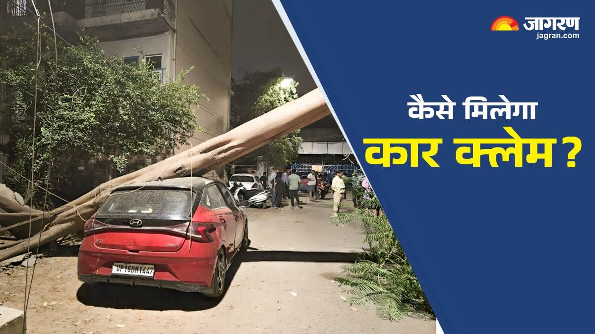 how to claim car insurance after tree falls during storm or rain