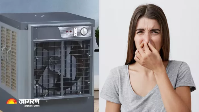 Cooler Bad Smell Removal Tips: कूलर की बदबू को बदबू को दूर करेंगे 5 घरेलू उपाय (Image Source: Freepik)