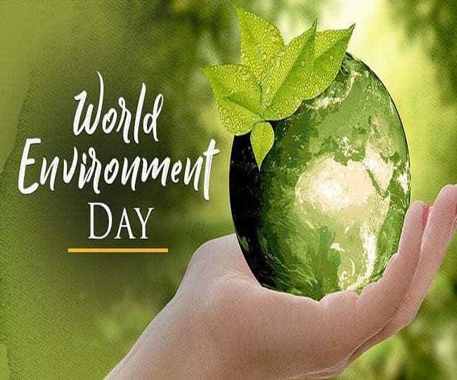 Why We Celebrate World Environment Day