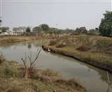 परिसर में पौधारोपण के साथ ही प्राकृतिक धरोहर को बचाया जा रहा है।