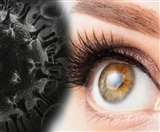 ब्&zwj;लैक फंगस में कारगर दवा बाजार से गायब हो गई है।