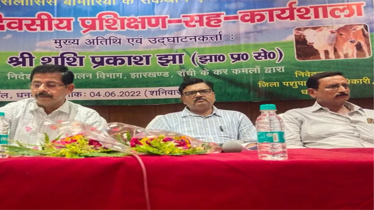 पशुपालन में बनाएं कॅरियर, विभाग करेगा मदद, युवाओं को रोजगार के लिए दी जा रहीं चार गाएं और एक बैल - Animal husbandry and cooperative department is helping people in self employment पशुपालन में बनाएं कॅरियर, विभाग करेगा मदद, युवाओं को रोजगार के लिए दी जा रहीं चार गाएं और एक बैल - Animal husbandry and cooperative department is helping people in self employment