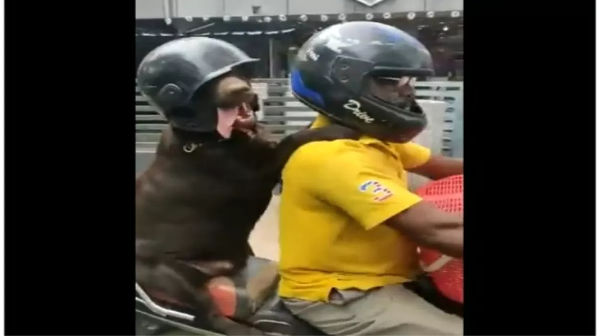 हेलमेट पहन डॉगी ने की बाइक की सवारी, वायरल हो रहा क्यूट वीडियो