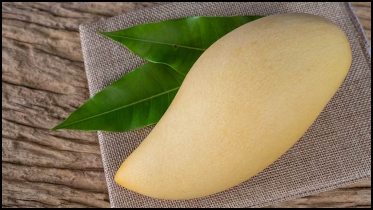 White Mango: दुनिया के इस शहर में मिलता है अनोखा ‘सफेद आम’, जानें क्या ...