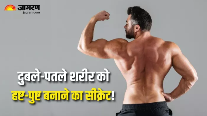 दुबले-पतले शरीर से हैं परेशान, तो आज से ही खाना शुरू कर दें ये 5 चीजें (Image Source: Freepik)