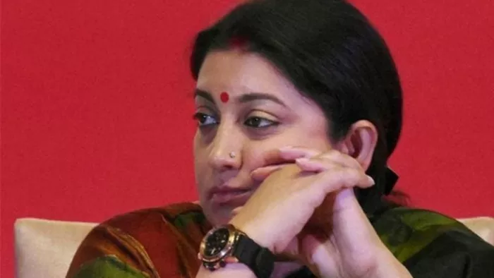 Lok Sabha Election 2024 smriti irani (Photo Instagram)