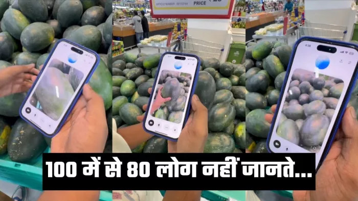 AI कर रहा 'मम्मी' वाले काम...फल-सब्जियां ताजा हैं या नहीं मिनटों में बताएगा