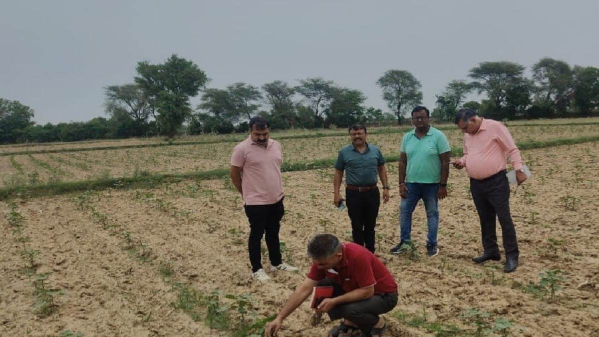 https://www.jagranimages.com/images/newimg/04062025/04_06_2025-cotton_crop_inspection_and_pest_management_awareness__rewari_23955690.jpg
