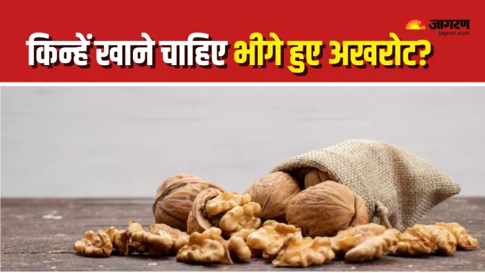 Soaked Walnut Benefits: किन लोगों के लिए भीगे हुए अखरोट खाना है फायदेमंद? (Picture Courtesy: Freepik)