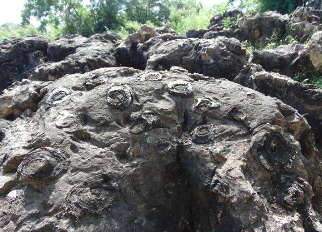 up tourist places sonbhadra will be associated with varanasi tourism plan team of tourism welfare association visited the spot