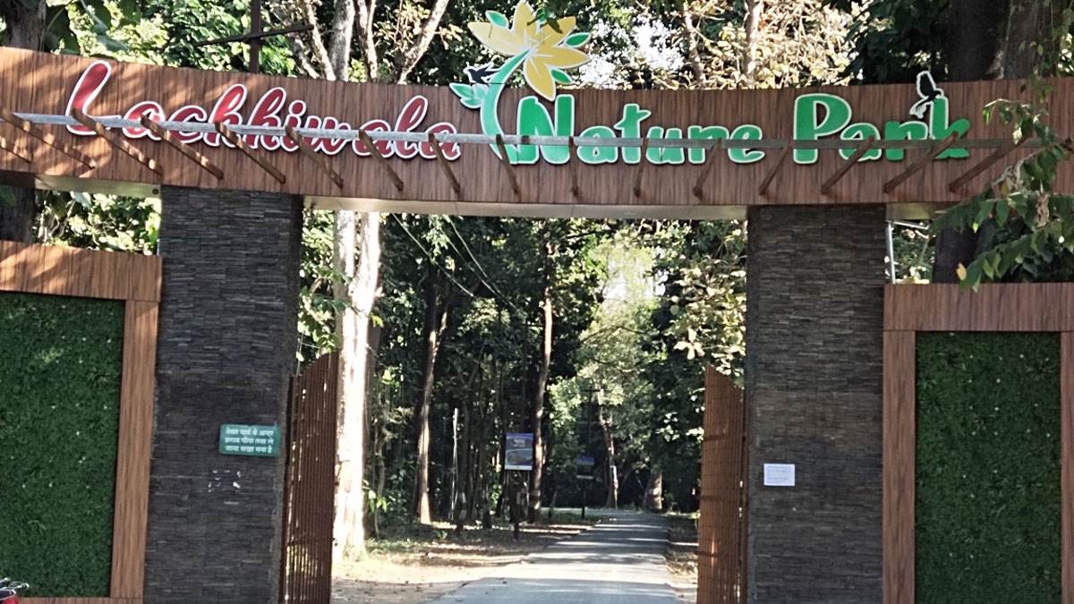 पर्यटकों के ल‍िए अब हर सोमवार बंद रहेगा लच्छीवाला नेचर पार्क, पार्क में मरम्मत और साफ-सफाई का चलेगा कार्य