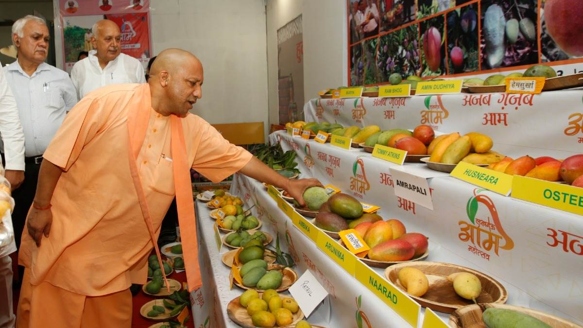 Lucknow Mango Festival लखनऊ में स्वाद और रंगत का मेला, जहां हर आम है