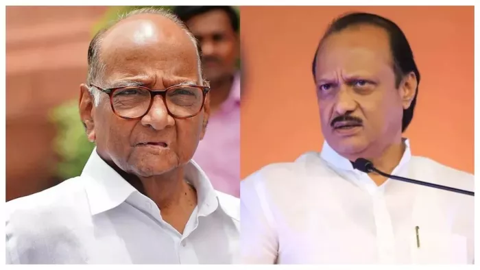 NCP में बगावत के बाद से ही पार्टी दो धड़ों में बंटी दिखाई दे रही है।