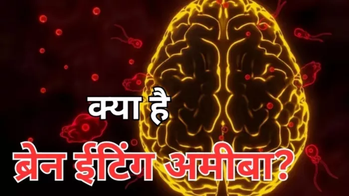 केरल में नेगलेरिया फाउलेरी' अमीबा की वजह से तीन लोगों की जान चली गई।(फोटो सोर्स: सोशल मीडिया)
