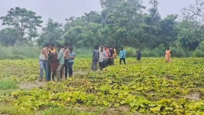 घायल जैतुन्निशां को खेत से लेकर उपचार के ले जाते लोग। जागरण