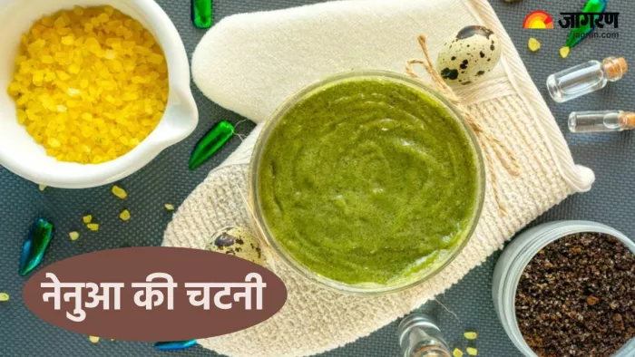 नेनुआ की चटनी की रेसिपी (Pic credit- freepik)
