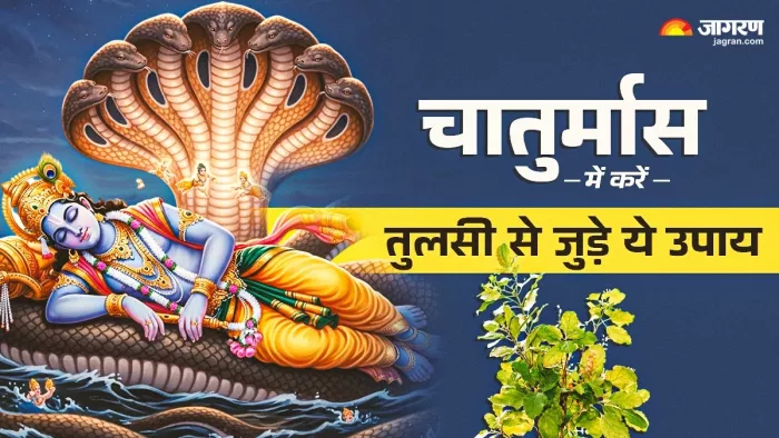 Chaturmas 2025: तुलसी से जुड़े खास उपाय।