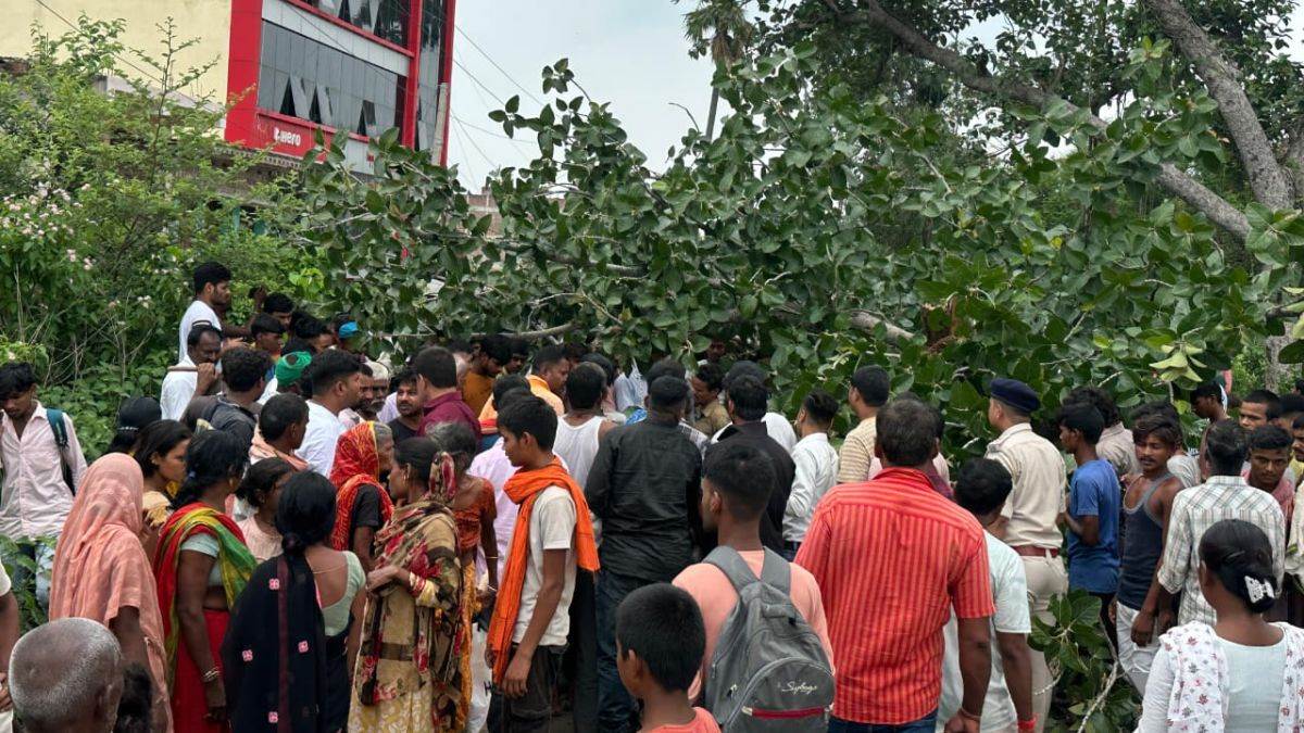 tragedy in gaya tree branch collapse kills two on tikari panchanpur road