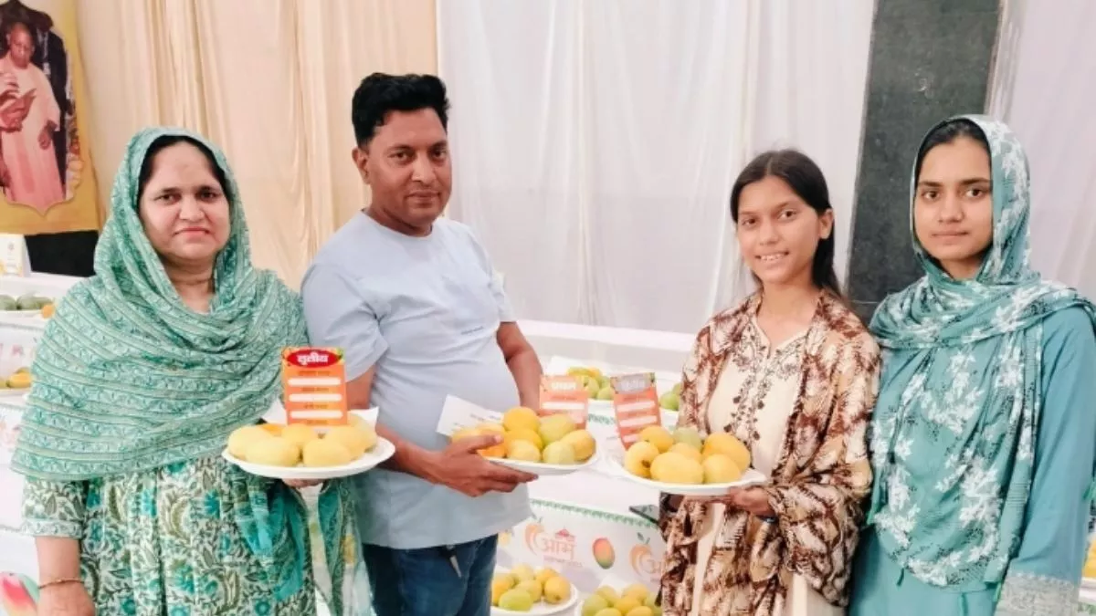 लखनऊ आम महोत्सव में रटौल आम का जलवा, प्रथम तीन स्थानों पर कब्जा; CM योगी करेंगे सम्मानित