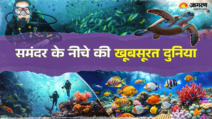 Scuba Diving के लिए बेस्ट हैं भारत की ये जगहें हैं बेस्ट।