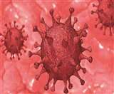 Coronavirus: रुड़की सिविल अस्पताल में सात अगस्त तक लेबर रुम व महिला ओपीडी रहेगी बंद, पढ़िए पूरी खबर
