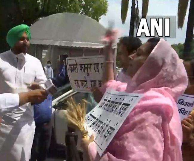 कृषि सुधार कानूनों को लेकर पंजाब से लेकर दिल्ली तक सियासत गर्मा गई है। (एएनआइ)