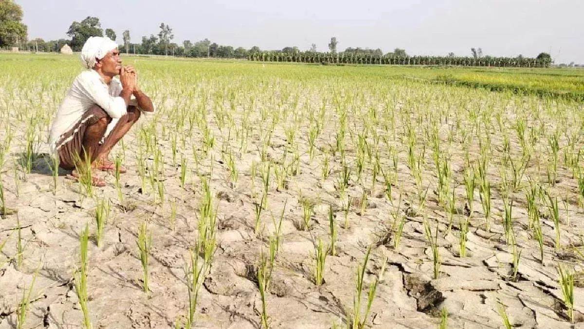 sonbhadra yearns for average rainfall since four years dams are getting empty farmer desperate