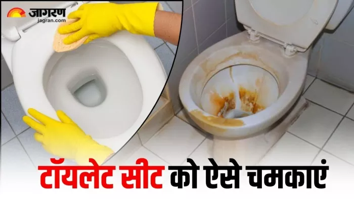 टॉयलेट सीट को ऐसे करें साफ, छूट जाएंगे सभी जिद्दी दाग (Image Source: Freepik)