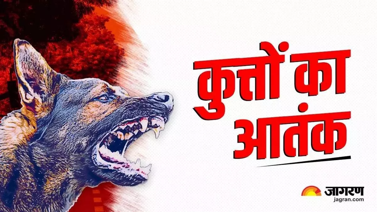 Roorkee में छह वर्षीय बच्चे को कुत्तों ने काटा, आए 40 टांके; प्राइवेट पार्ट पर गहरे जख्म
