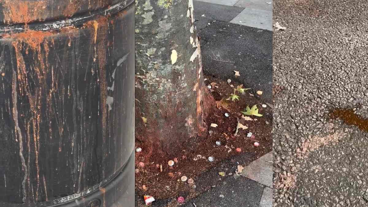 https://www.jagranimages.com/images/newimg/04082025/04_08_2025-uk_london_paan_spitting_24003366.jpg