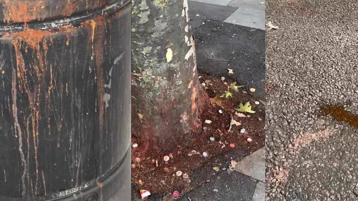 लंदन की सड़कों पर पान के निशान से लोग परेशान, सड़क और डस्टबिन पर लाल धब्बे का वीडियो वायरल