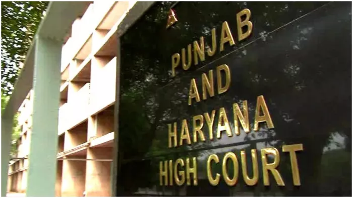 जिला परिषदों के चुनाव समय से पहले कराने को HC में चुनौती