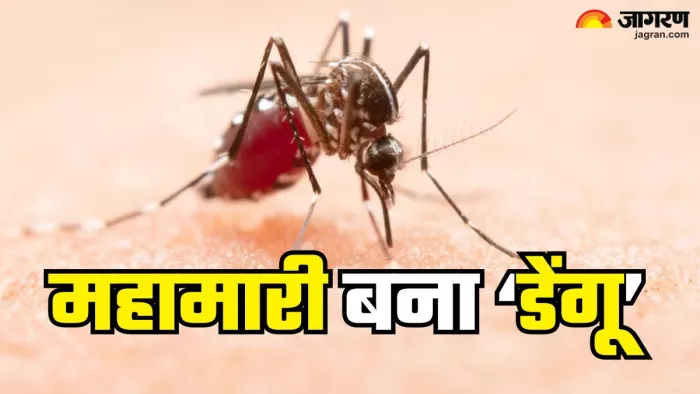 कर्नाटक में महामारी घोषित हुआ डेंगू (Picture Credit- Freepik)
