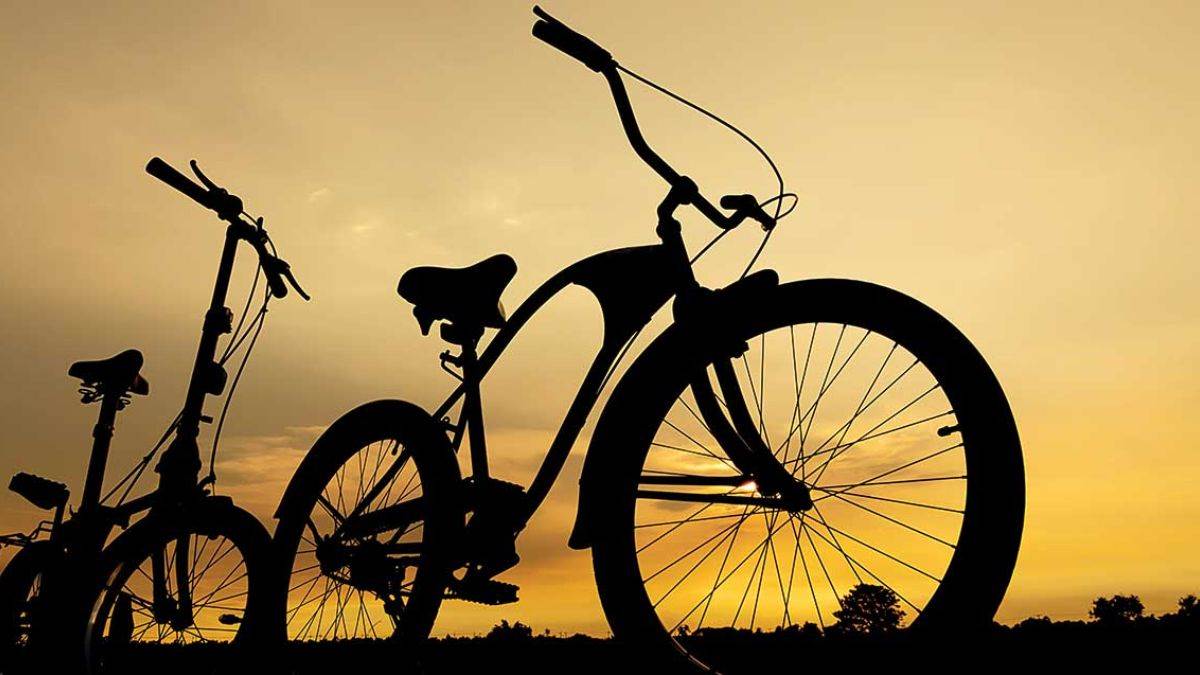 https://www.jagranimages.com/images/newimg/04092024/04_09_2024-electric_bicycle_23790448.jpg