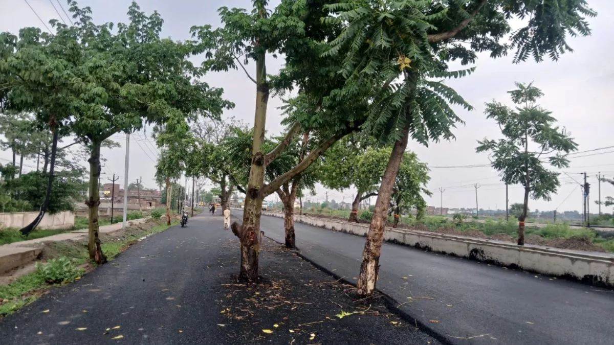 https://www.jagranimages.com/images/newimg/04092025/04_09_2025-chandigarh_news_24035310.jpg