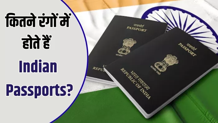 क्या है पासपोर्ट के रंगों का मतलब (Image Credit- Freepik)