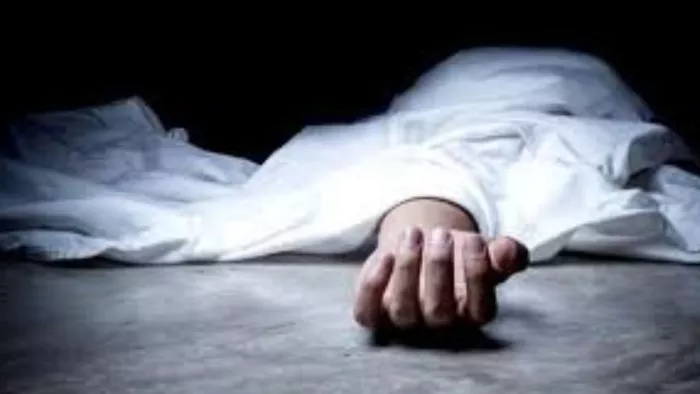 झारखंड के बोकारो में मछली खाने से पिता-पुत्र की मौत (File Photo)