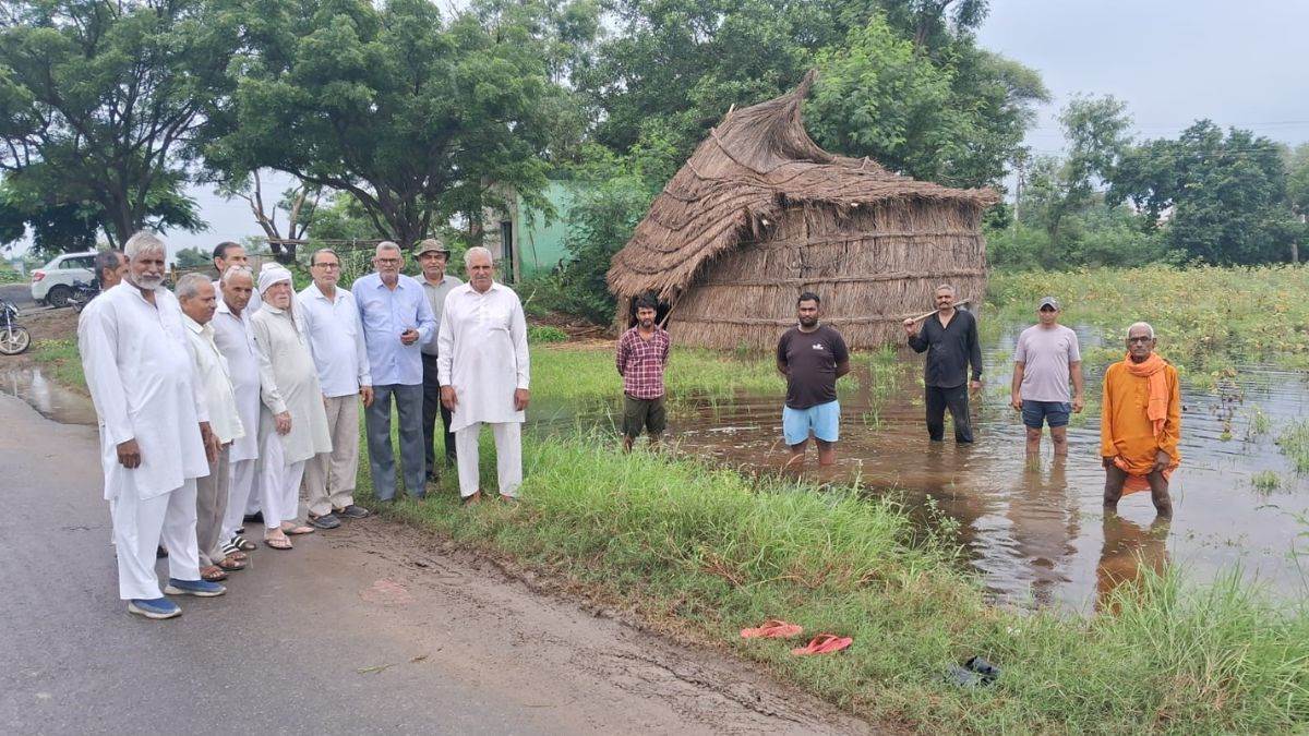 https://www.jagranimages.com/images/newimg/04092025/04_09_2025-haryana_53_24035660.jpg