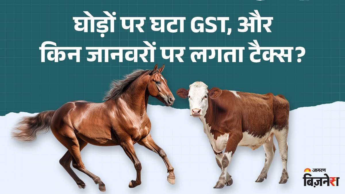 https://www.jagranimages.com/images/newimg/04092025/04_09_2025-horse-gst_24035749.jpg